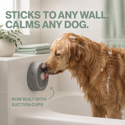 FurMi™ Suction Lick Bowl