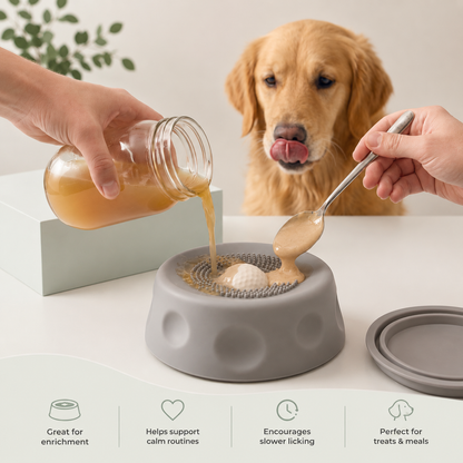 FurMi™ Suction Lick Bowl