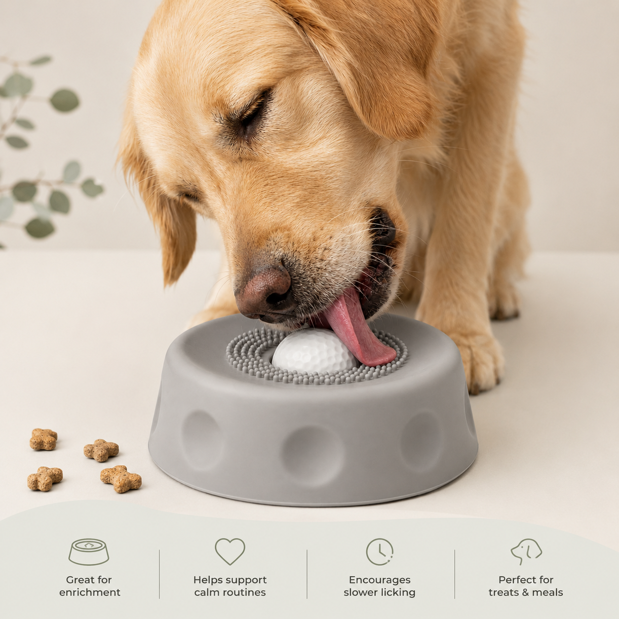 FurMi™ Suction Lick Bowl